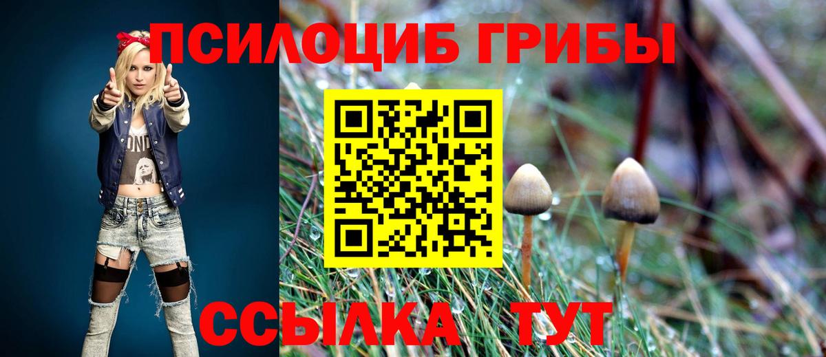 Псилоцибиновые грибы мухоморы Ревда